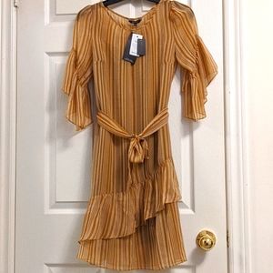 NWT RW&Co Chiffon Ruffle StripesTie dress Sz XS